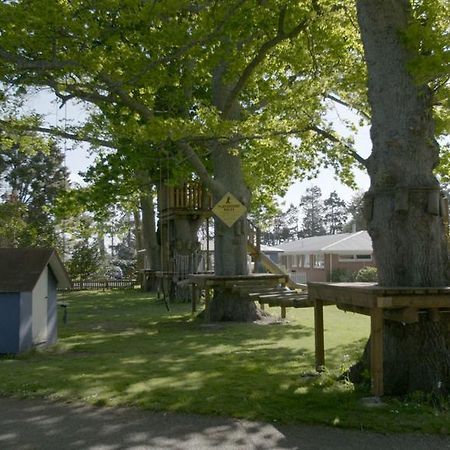 Te Aroha Holiday Park And Motels Экстерьер фото