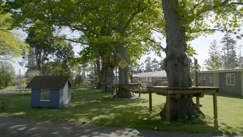 Te Aroha Holiday Park And Motels Экстерьер фото